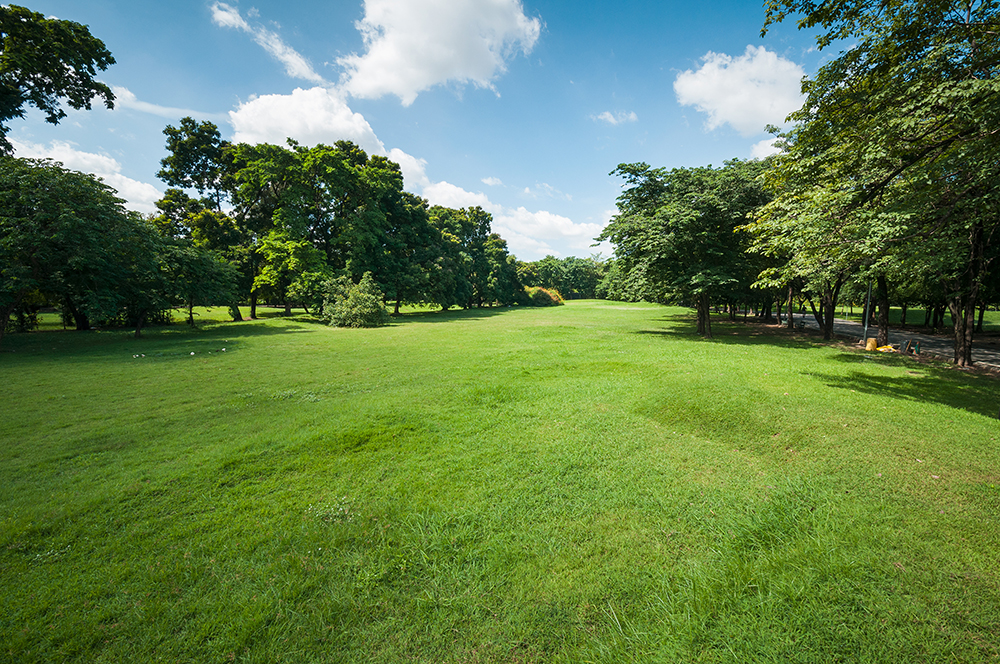 Lawn Care and Field Mowing 1